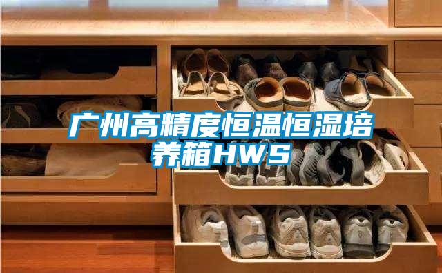 廣州高精度恒溫恒濕培養箱HWS