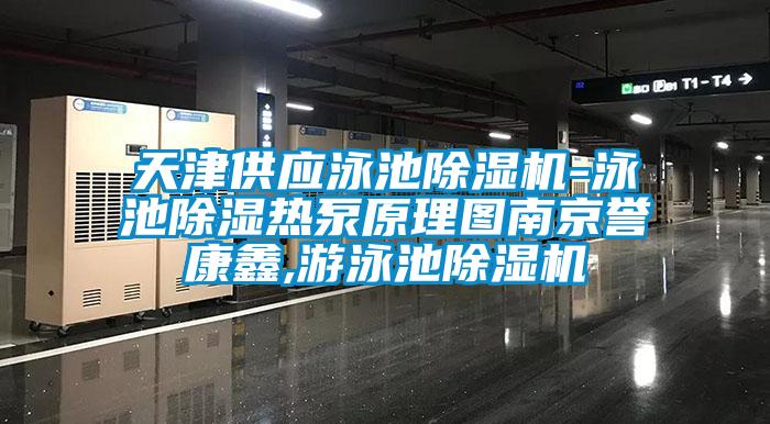 天津供應泳池除濕機-泳池除濕熱泵原理圖南京譽康鑫,游泳池除濕機