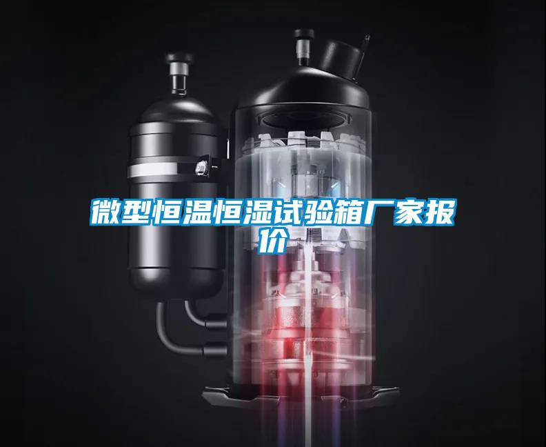 微型恒溫恒濕試驗(yàn)箱廠(chǎng)家報(bào)價(jià)