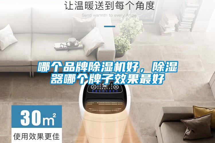 哪個品牌除濕機好,除濕器哪個牌子效果最好