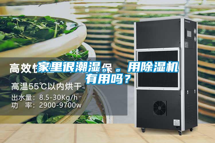 家里很潮濕。。用除濕機有用嗎？
