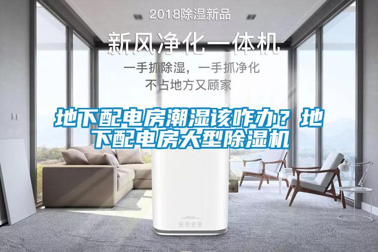地下配電房潮濕該咋辦？地下配電房大型除濕機