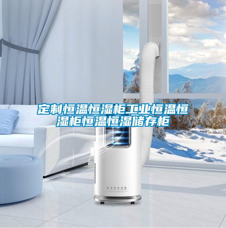 定制恒溫恒濕柜工業恒溫恒濕柜恒溫恒濕儲存柜