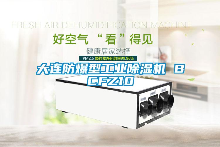 大連防爆型工業除濕機 BCFZ10