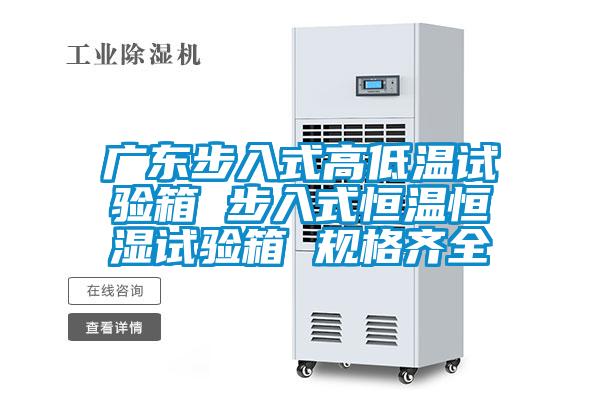 廣東步入式高低溫試驗箱 步入式恒溫恒濕試驗箱 規格齊全