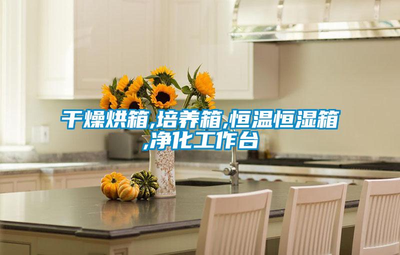 干燥烘箱,培養箱,恒溫恒濕箱,凈化工作臺