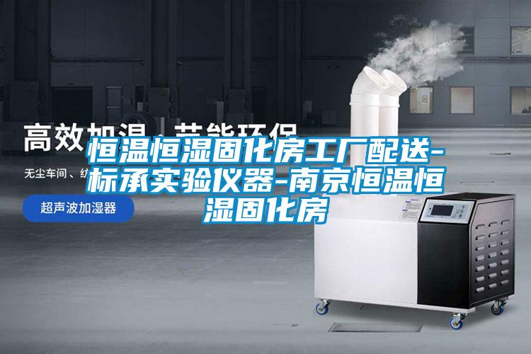 恒溫恒濕固化房工廠配送-標承實驗儀器-南京恒溫恒濕固化房
