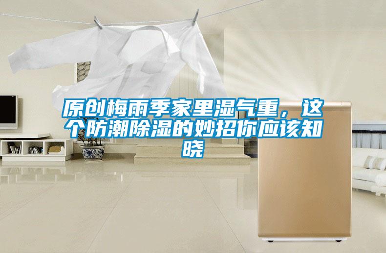 原創梅雨季家里濕氣重，這個防潮除濕的妙招你應該知曉