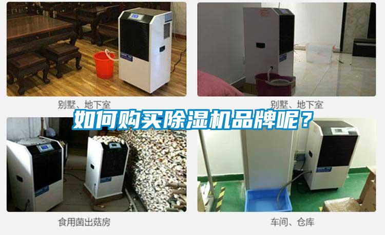 如何購買除濕機品牌呢？