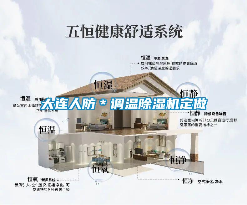 大連人防*調(diào)溫除濕機(jī)定做