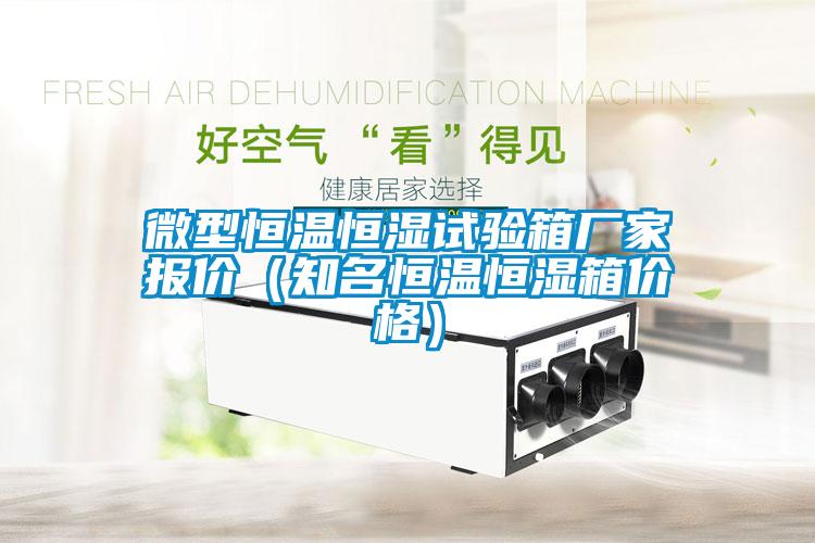 微型恒溫恒濕試驗(yàn)箱廠(chǎng)家報(bào)價(jià)（知名恒溫恒濕箱價(jià)格）