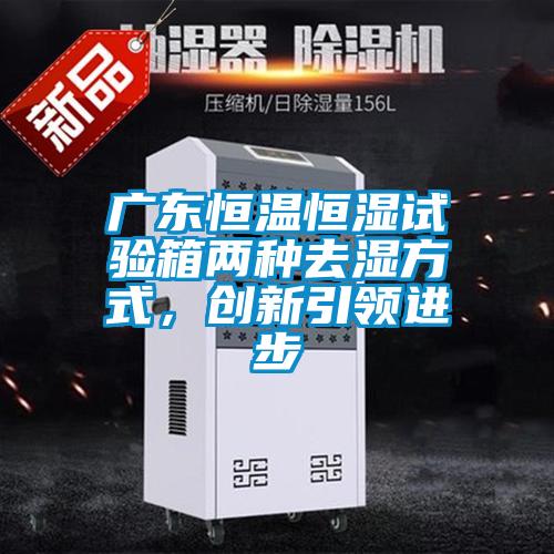 廣東恒溫恒濕試驗箱兩種去濕方式，創新引領進步