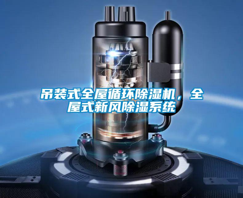 吊裝式全屋循環(huán)除濕機，全屋式新風(fēng)除濕系統(tǒng)