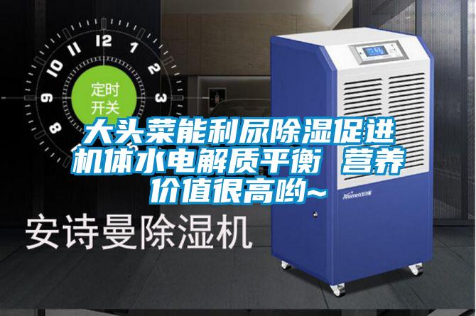大頭菜能利尿除濕促進機體水電解質平衡 營養價值很高喲~