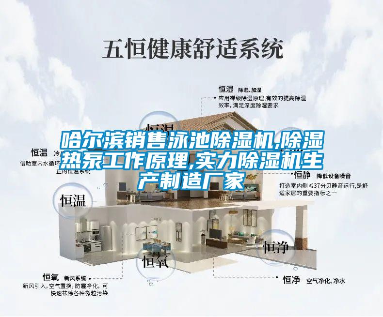 哈爾濱銷(xiāo)售泳池除濕機(jī),除濕熱泵工作原理,實(shí)力除濕機(jī)生產(chǎn)制造廠家