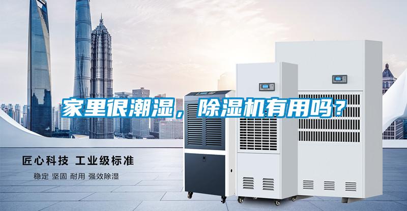 家里很潮濕，除濕機有用嗎？