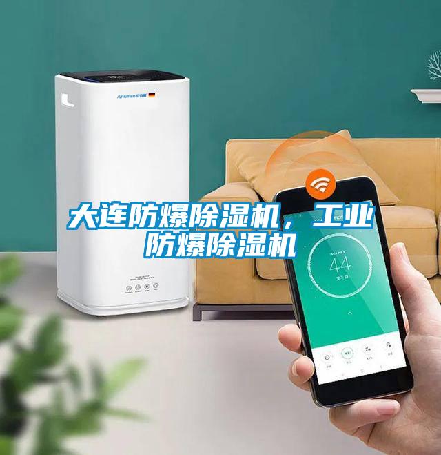 大連防爆除濕機，工業防爆除濕機
