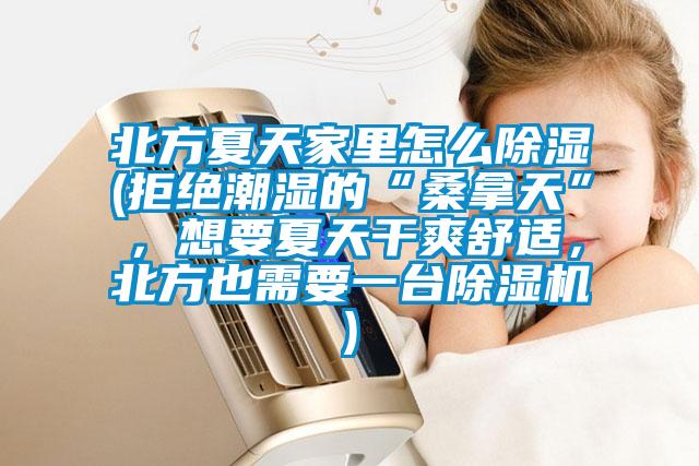 北方夏天家里怎么除濕(拒絕潮濕的“桑拿天”，想要夏天干爽舒適，北方也需要一臺除濕機)