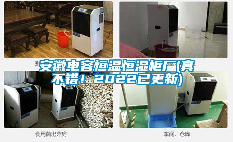 安徽電容恒溫恒濕柜廠(真不錯！2022已更新)