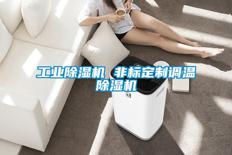 工業除濕機 非標定制調溫除濕機