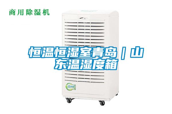 恒溫恒濕室青島|山東溫濕度箱