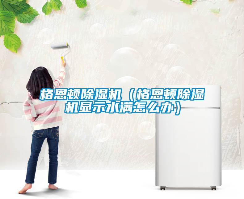 格恩頓除濕機(格恩頓除濕機顯示水滿怎么辦)