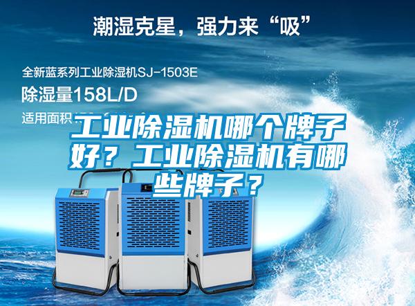 工業(yè)除濕機(jī)哪個(gè)牌子好？工業(yè)除濕機(jī)有哪些牌子？