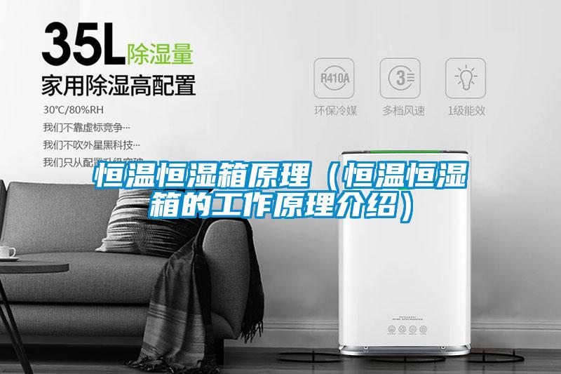 恒溫恒濕箱原理(恒溫恒濕箱的工作原理介紹)