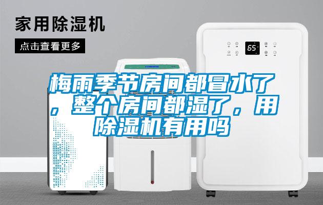 梅雨季節(jié)房間都冒水了，整個房間都濕了，用除濕機(jī)有用嗎