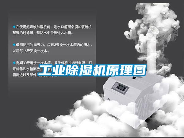 工業除濕機原理圖