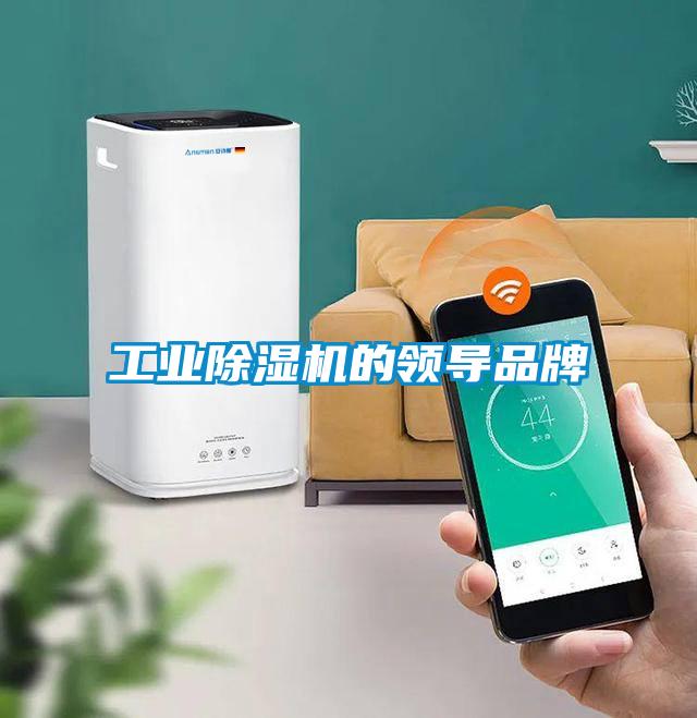 工業除濕機的領導品牌