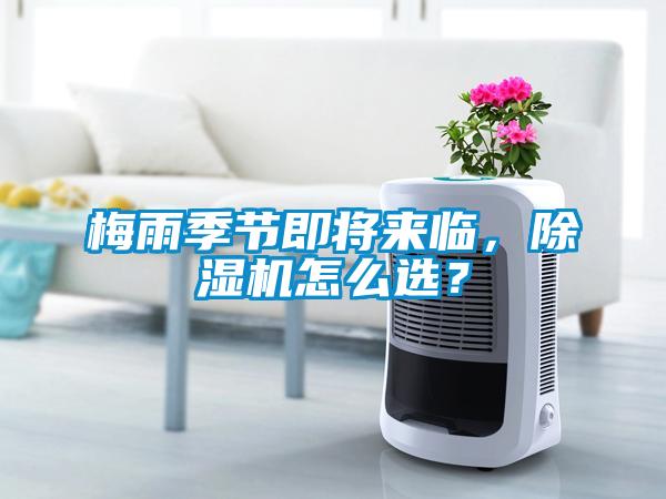 梅雨季節(jié)即將來臨,除濕機怎么選?