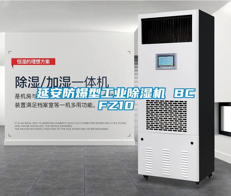延安防爆型工業除濕機 BCFZ10