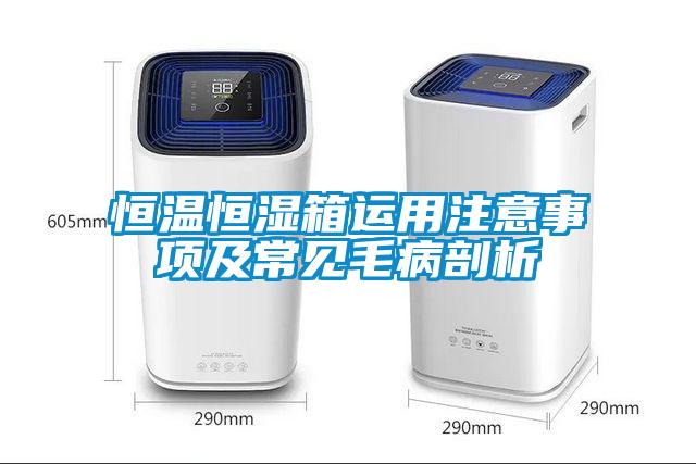 恒溫恒濕箱運(yùn)用注意事項及常見毛病剖析