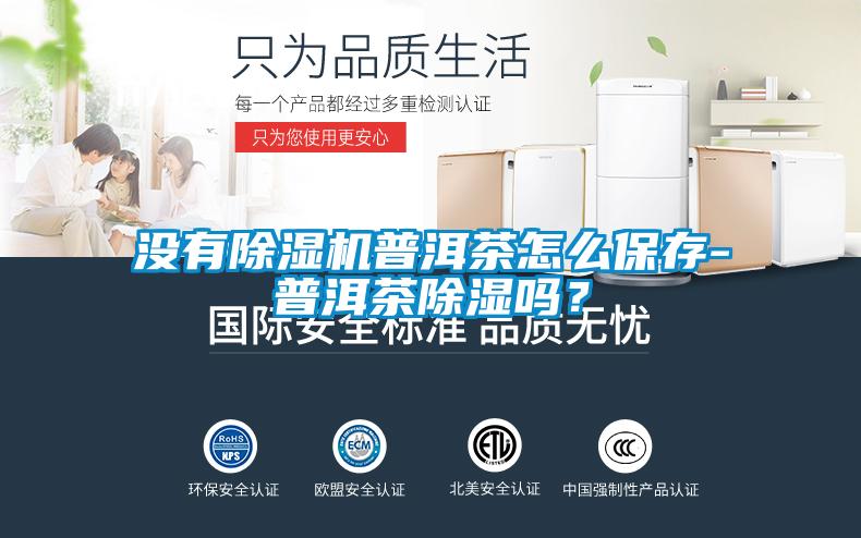 沒有除濕機普洱茶怎么保存-普洱茶除濕嗎?