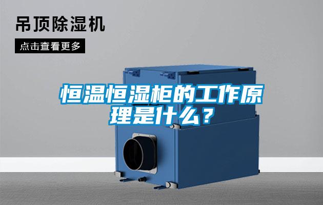 恒溫恒濕柜的工作原理是什么?