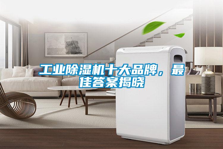 工業除濕機十大品牌，最佳答案揭曉