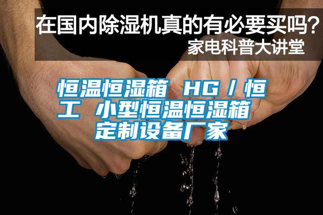 恒溫恒濕箱 HG/恒工 小型恒溫恒濕箱 定制設備廠家