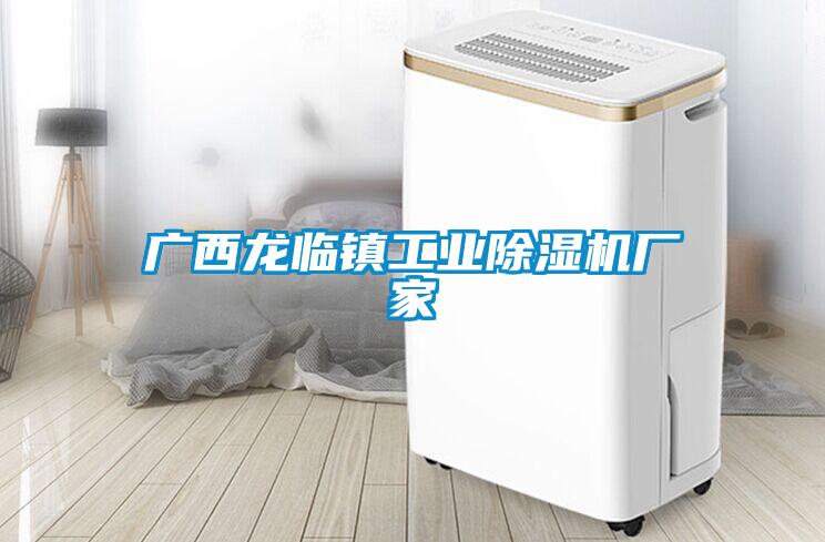 廣西龍臨鎮工業除濕機廠家