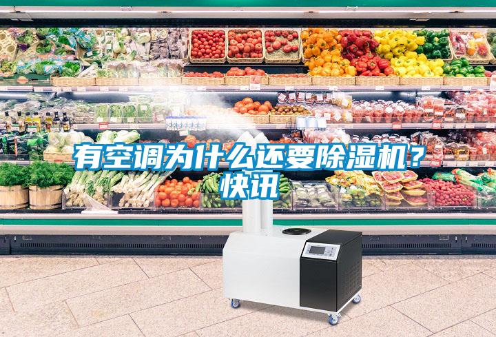 有空調(diào)為什么還要除濕機？快訊