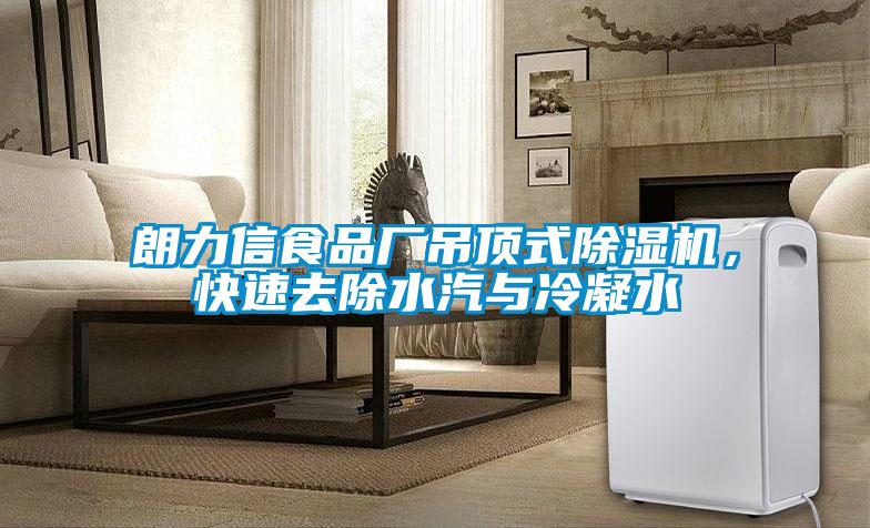 朗力信食品廠吊頂式除濕機，快速去除水汽與冷凝水