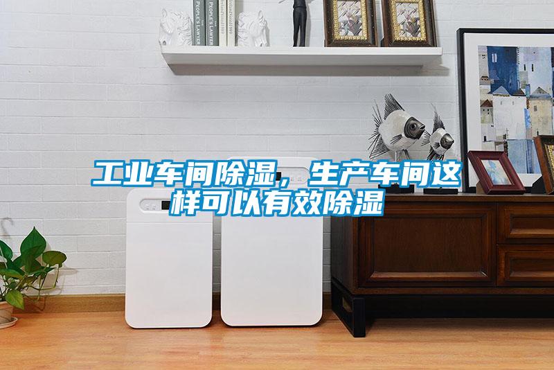 工業車間除濕，生產車間這樣可以有效除濕