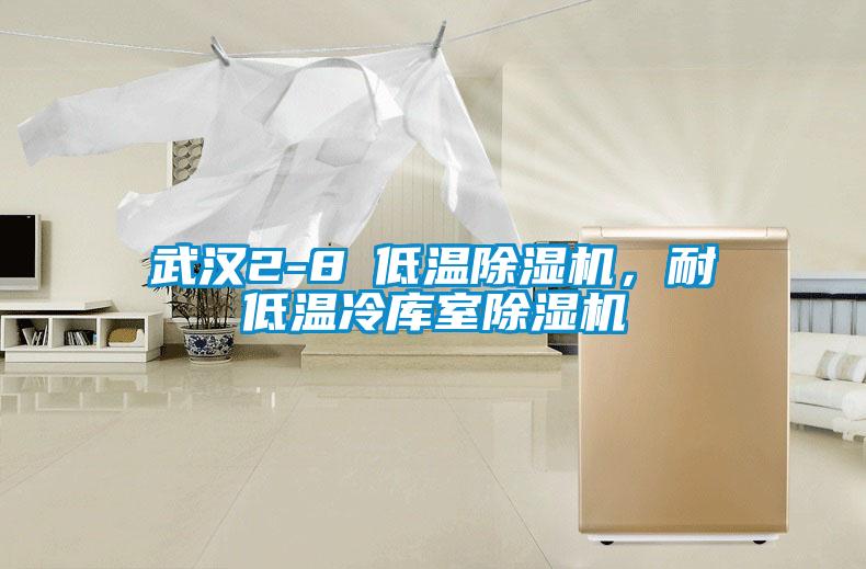 武漢2-8℃低溫除濕機，耐低溫冷庫室除濕機