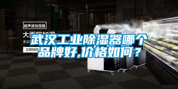 武漢工業除濕器哪個品牌好,價格如何？