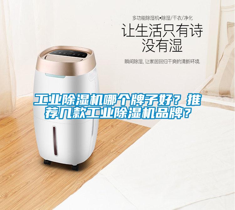 工業(yè)除濕機哪個牌子好?推薦幾款工業(yè)除濕機品牌?