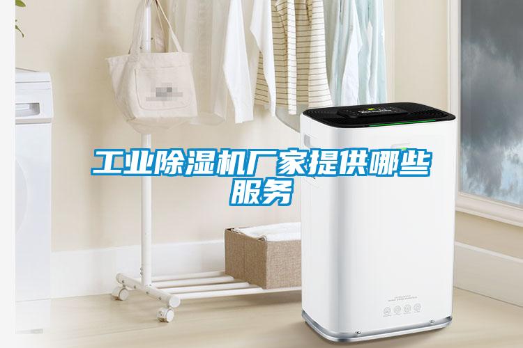 工業除濕機廠家提供哪些服務