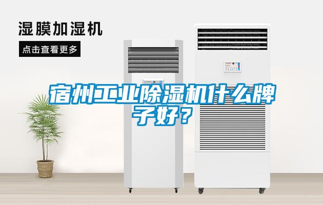 宿州工業除濕機什么牌子好？