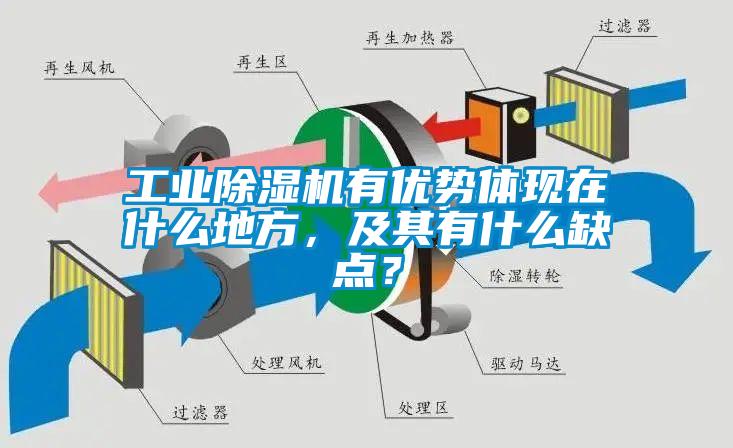 工業(yè)除濕機(jī)有優(yōu)勢(shì)體現(xiàn)在什么地方,及其有什么缺點(diǎn)?