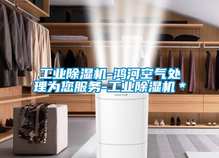 工業除濕機-鴻河空氣處理為您服務-工業除濕機*