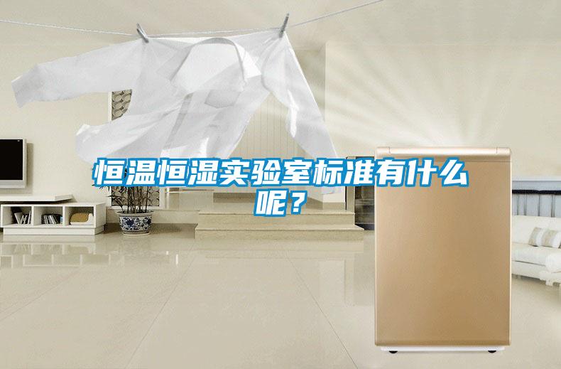 恒溫恒濕實(shí)驗(yàn)室標(biāo)準(zhǔn)有什么呢?